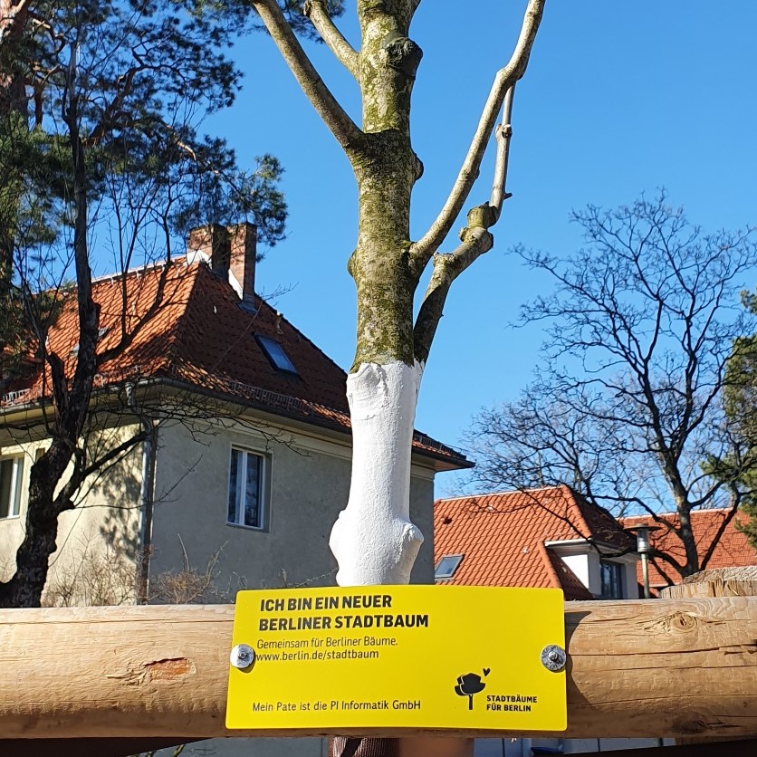 Wir pflanzen Berliner Satdtbäume