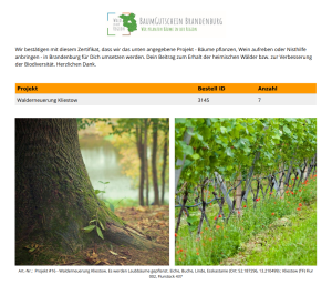 Nachhaltigkeit in der IT